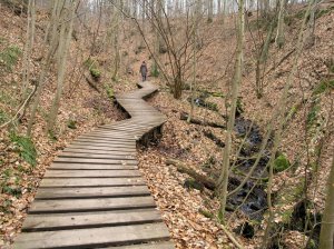 tretschbachtal tretschbachtal im 7-Gebirge