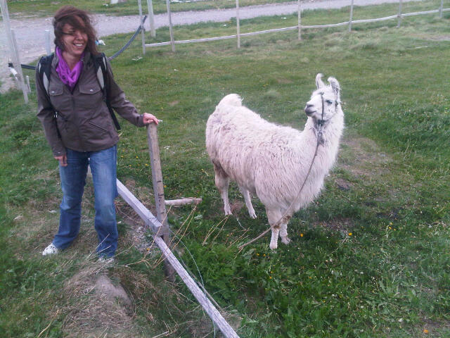 wer hier wen beäugt