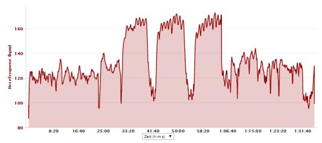 auch der Puls weist ein Sägezahnprofil auf